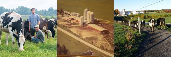Guy Choiniere and son Matt of Choiniere Family Farm in Highgate Center, Vermont. A comparison of the farm before and after their forest restoration project. Photo: Choiniere Family Farm https://choinierefamilyfar.wixsite.com/choinierefamilyfarm Two farmers and cows in field, old aerial image of barn and fields, cows walking down road near riparian forest